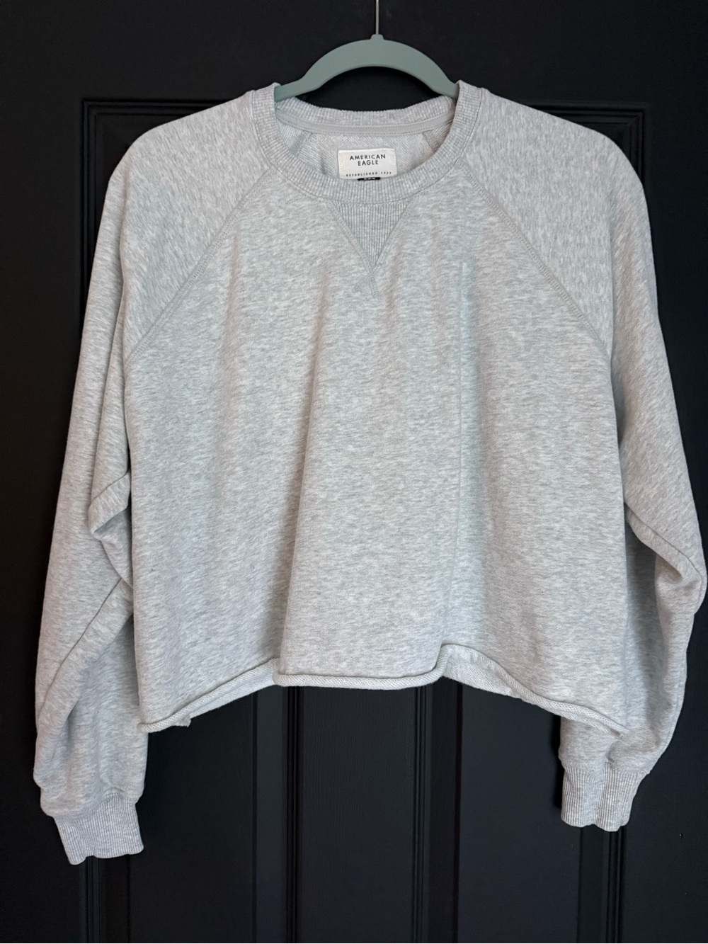 American Eagle Outfitters Heather Gray Cropped Sweatshirt